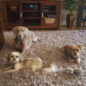 Meet your Posher, Deena